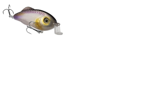 Strike King Hybrid Hunter Jr - 1/2 3" Clearwater Minnow