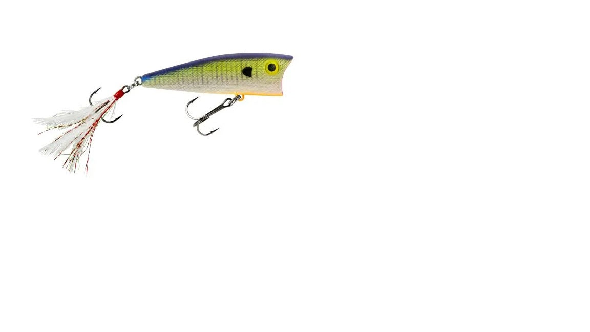 Rebel Big Pop-R 9-16 31-8" Bluegill