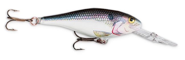 Rapala Shad Rap 2" 3/16 Shad