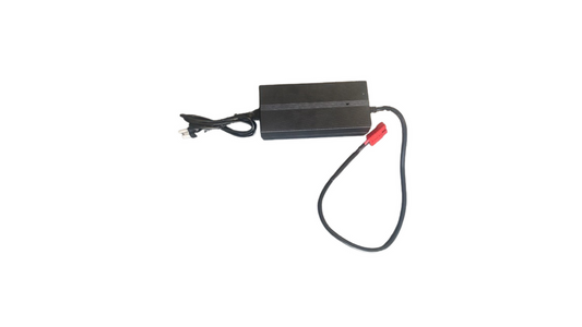 12V 20A Lithium Ion Charger