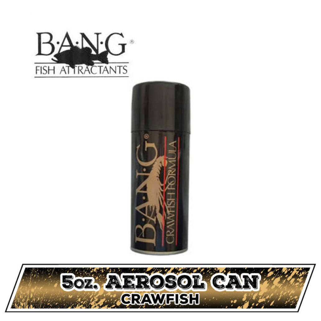 BANG Fish Attractant Aerosol Spray 5 oz.