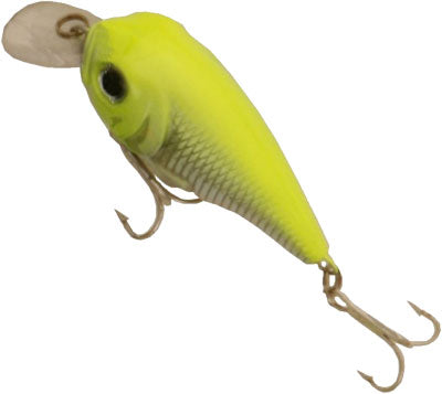 Creme Shallow Crank Chartreuse Back