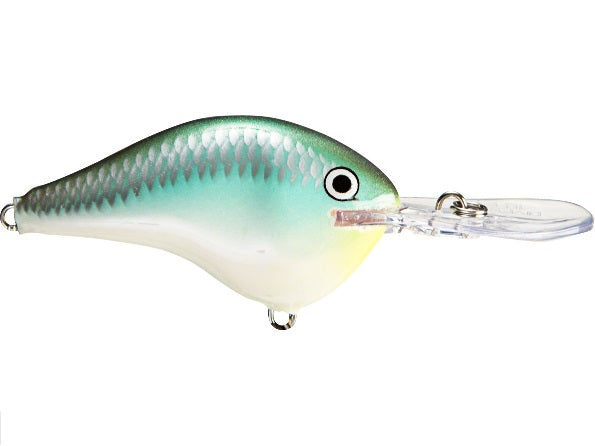 Rapala DT (Dives-To) Series