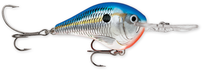 Rapala DT (Dives-To) Series