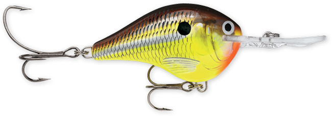 Rapala DT (Dives-To) Series