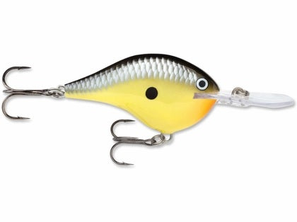 Rapala DT (Dives-To) Series