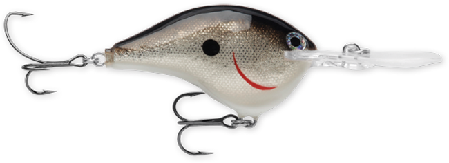 Rapala DT (Dives-To) Series