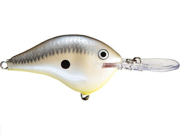 Rapala DT (Dives-To) Series