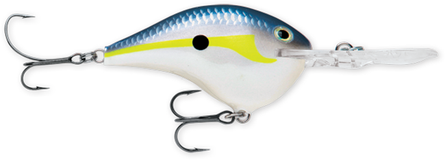 Rapala DT (Dives-To) Series