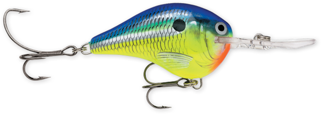 Rapala DT (Dives-To) Series