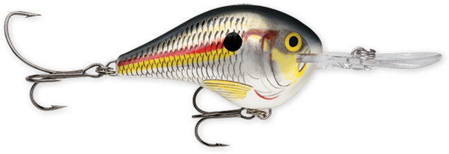 Rapala DT (Dives-To) Series