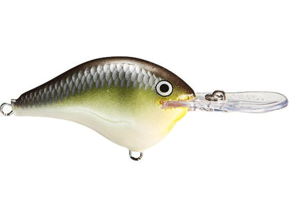 Rapala DT (Dives-To) Series