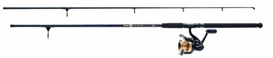 Daiwa D-Wave Saltwater Spin Combo 1BB 2pc Med