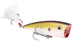 Strike King KVD Splash 2.75" 3-8oz TN Shad 2.0