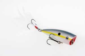 Strike King KVD Splash Jr 3 3/4" Sexy Shad