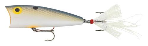 Rebel Pop-R 1/4 Foxy Shad